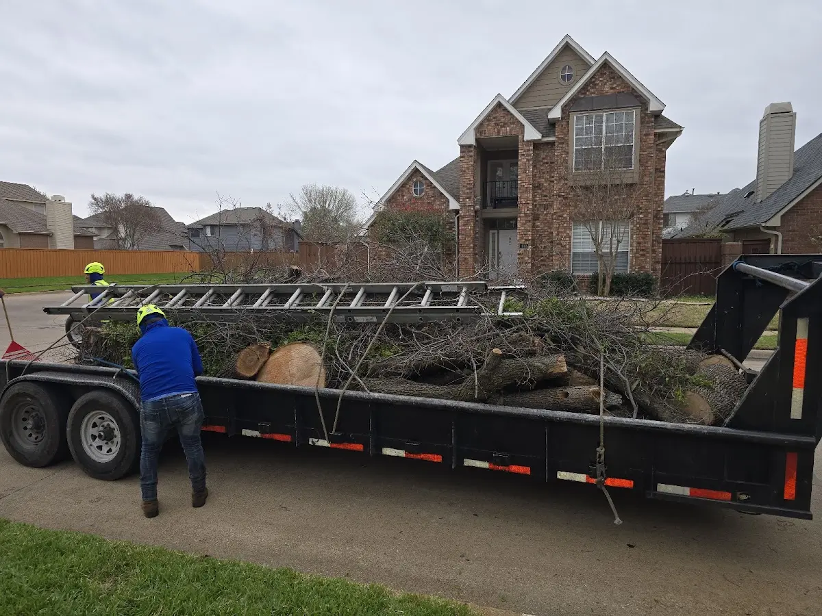 Expert Tree Removal with proper safety equipment in Sugar Grove